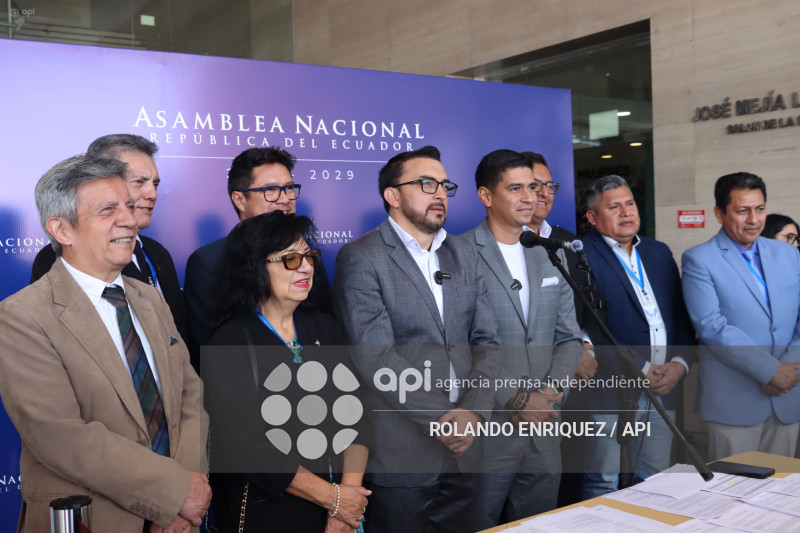 REVOLUCION CIUDADANA SOBRE BONOS DE CAMPANA