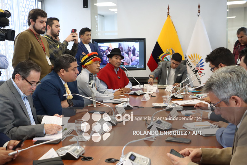 LEONIDAS IZA GARANTIAS CONSTITUCIONALES