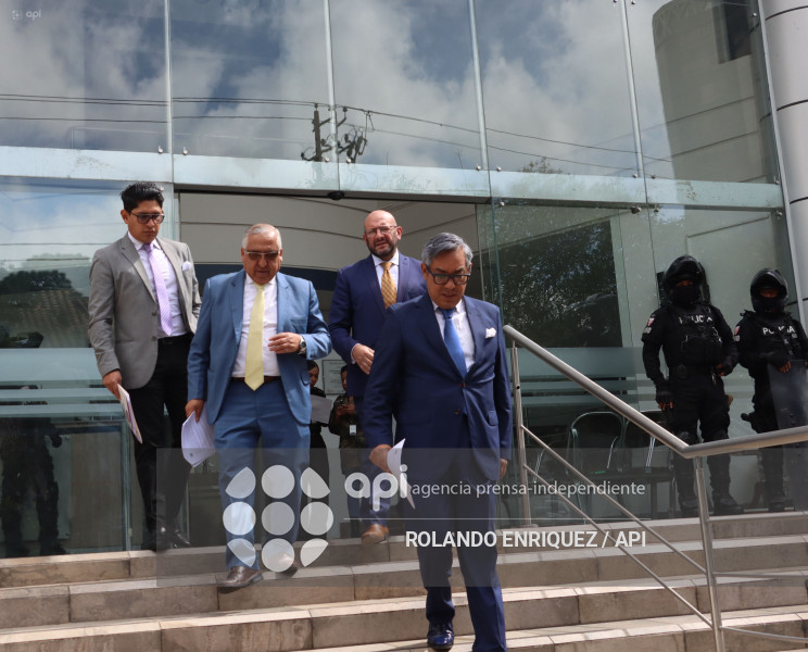 ACCION DE INCONSTITUCIONALIDAD ABOGADOS PICHINCHA