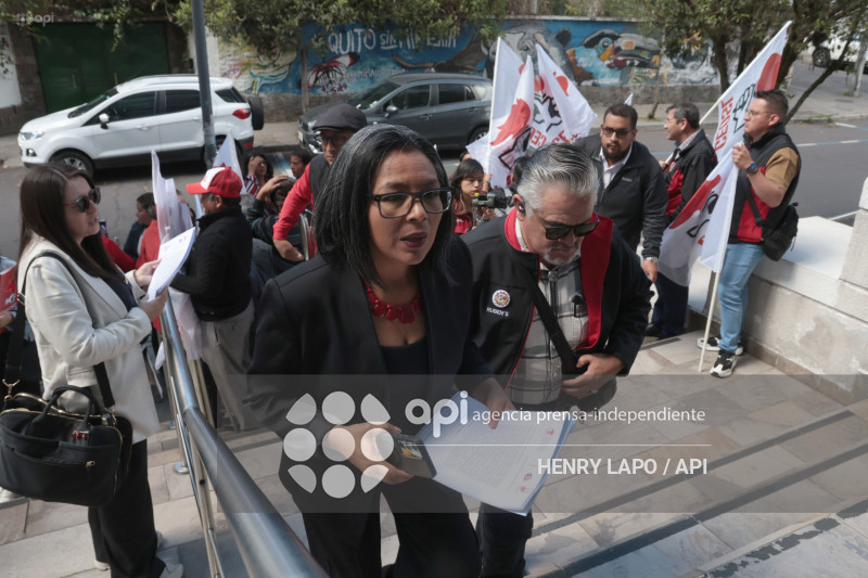 DEMANDA LEY INTEGRIDAD PUBLICA