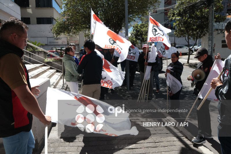 DEMANDA LEY INTEGRIDAD PUBLICA