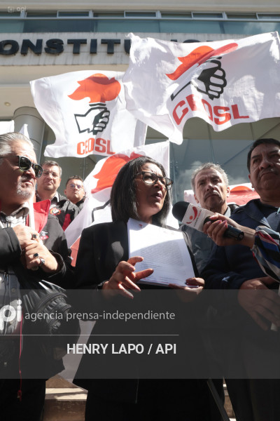 DEMANDA LEY INTEGRIDAD PUBLICA