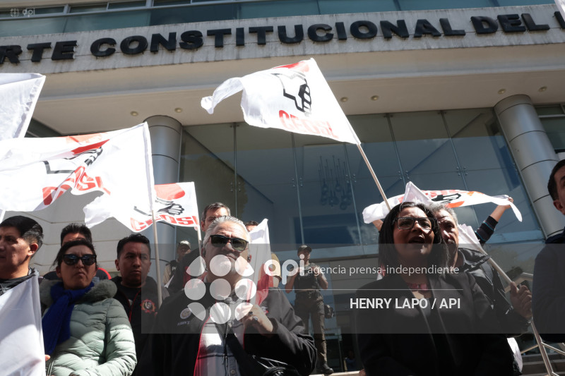 DEMANDA LEY INTEGRIDAD PUBLICA