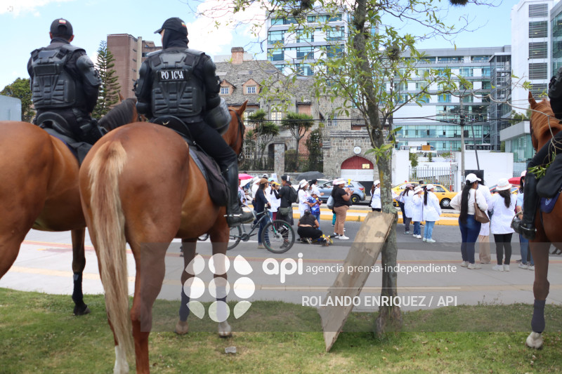 TRABAJADORES DE LA SALUD ACCION DE INCONSTITUCIONALIDAD