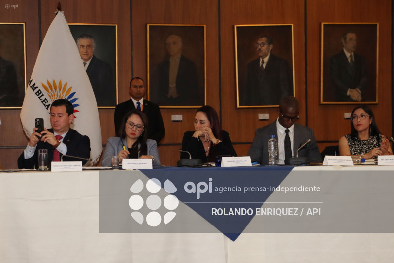 SALCEDO EN COMISION DE FISCALIZACION