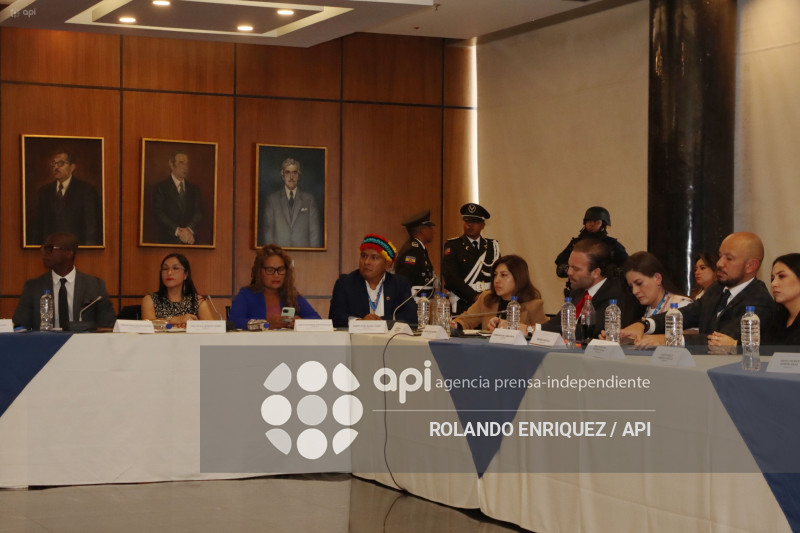 SALCEDO EN COMISION DE FISCALIZACION