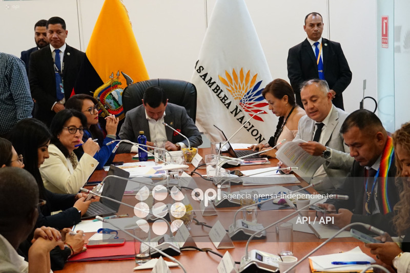 SOLANDA GOYES FISCALIZACION