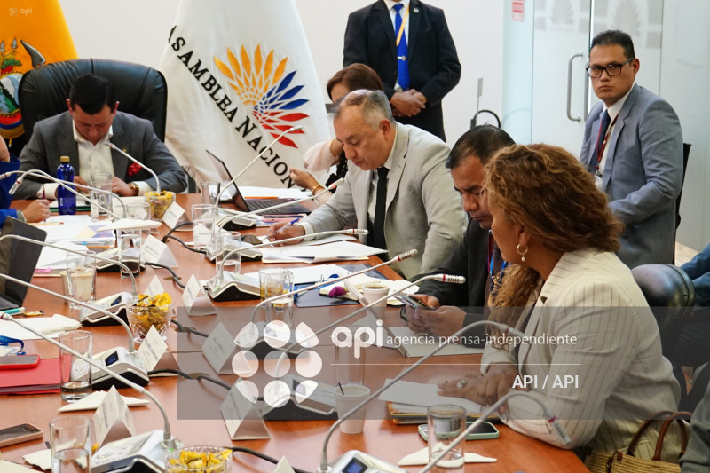 SOLANDA GOYES FISCALIZACION