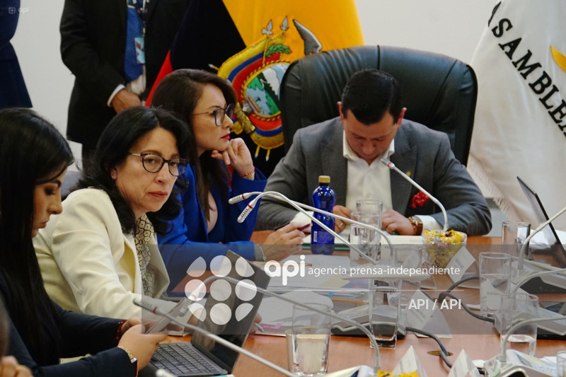 SOLANDA GOYES FISCALIZACION