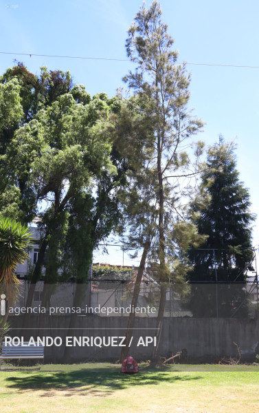 RADIACION SOLAR EN QUITO