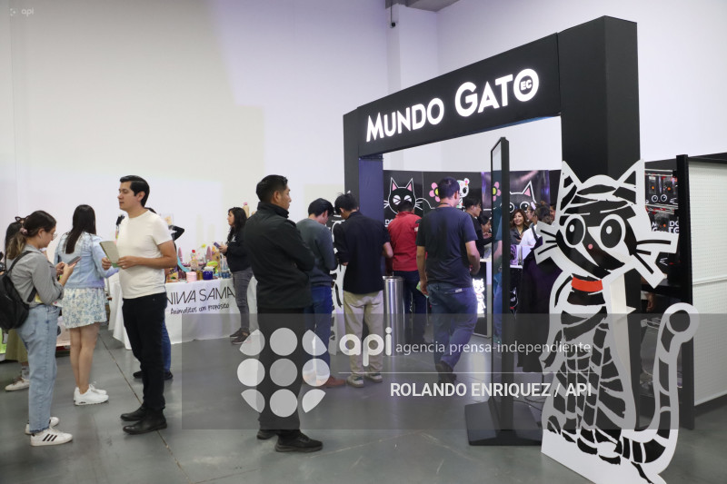 EVENTO MÁS GRANDE DE GATOS  CATURDAY 2025