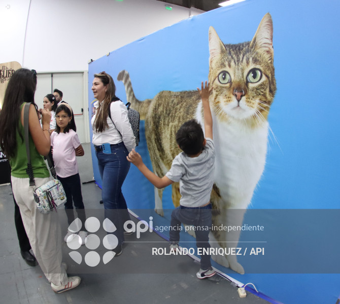 EVENTO MÁS GRANDE DE GATOS  CATURDAY 2025