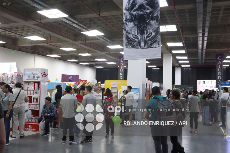 EVENTO MÁS GRANDE DE GATOS  CATURDAY 2025