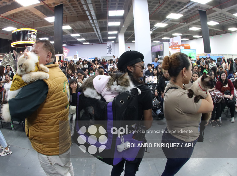 EVENTO MÁS GRANDE DE GATOS  CATURDAY 2025