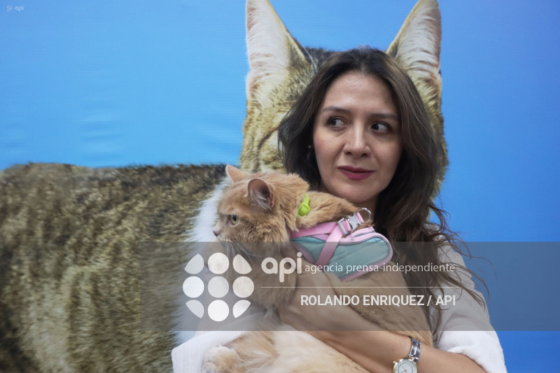 EVENTO MÁS GRANDE DE GATOS  CATURDAY 2025