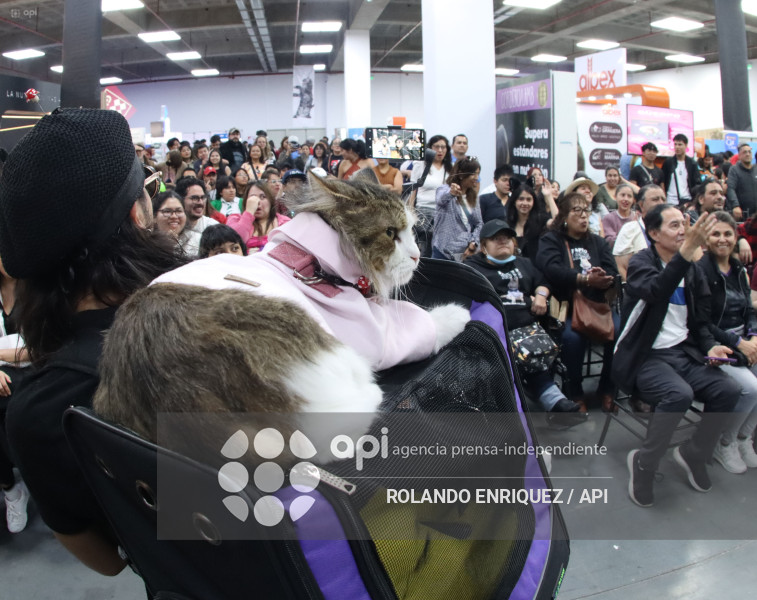 EVENTO MÁS GRANDE DE GATOS  CATURDAY 2025