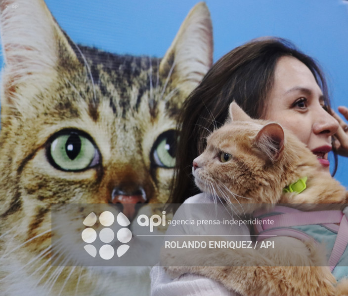 EVENTO MÁS GRANDE DE GATOS  CATURDAY 2025