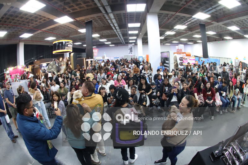 EVENTO MÁS GRANDE DE GATOS  CATURDAY 2025