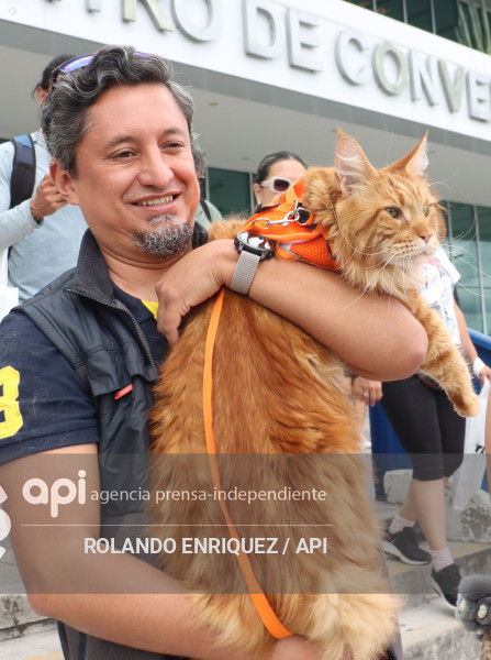 EVENTO MÁS GRANDE DE GATOS  CATURDAY 2025