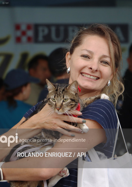 EVENTO MÁS GRANDE DE GATOS  CATURDAY 2025