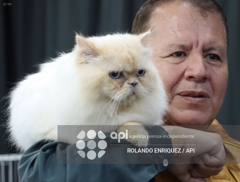 EVENTO MÁS GRANDE DE GATOS  CATURDAY 2025