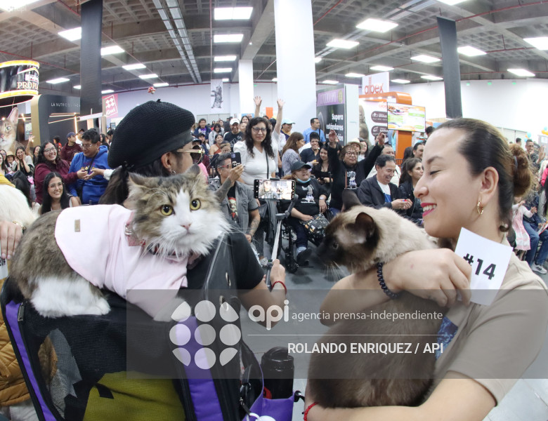 EVENTO MÁS GRANDE DE GATOS  CATURDAY 2025