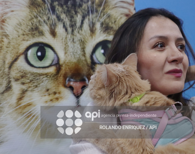 EVENTO MÁS GRANDE DE GATOS  CATURDAY 2025