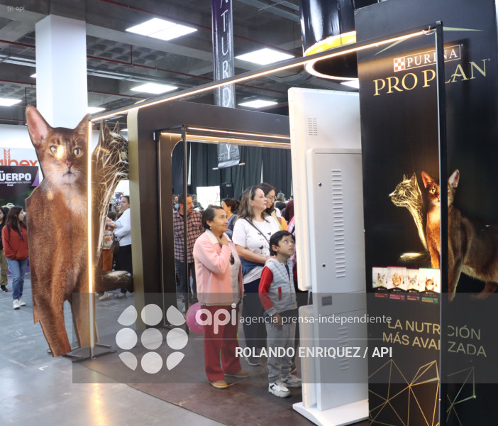 EVENTO MÁS GRANDE DE GATOS  CATURDAY 2025