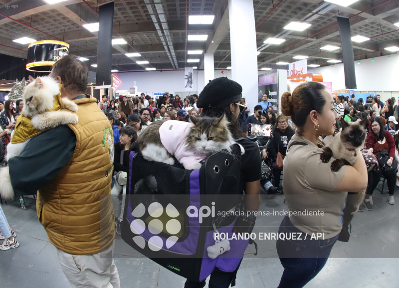 EVENTO MÁS GRANDE DE GATOS  CATURDAY 2025