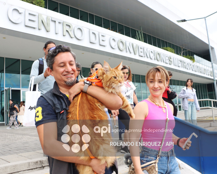 EVENTO MÁS GRANDE DE GATOS  CATURDAY 2025