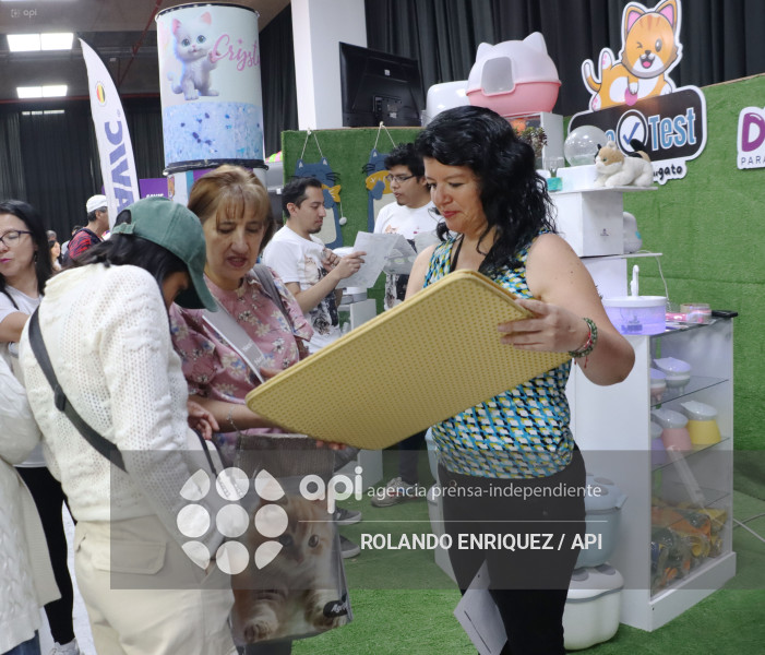 EVENTO MÁS GRANDE DE GATOS  CATURDAY 2025