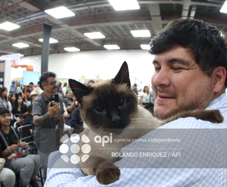 EVENTO MÁS GRANDE DE GATOS  CATURDAY 2025