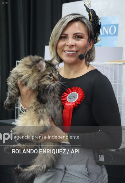 EVENTO MÁS GRANDE DE GATOS  CATURDAY 2025