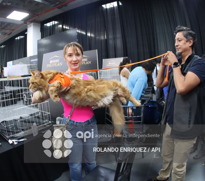 EVENTO MÁS GRANDE DE GATOS  CATURDAY 2025