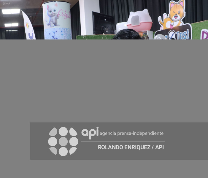 EVENTO MÁS GRANDE DE GATOS  CATURDAY 2025