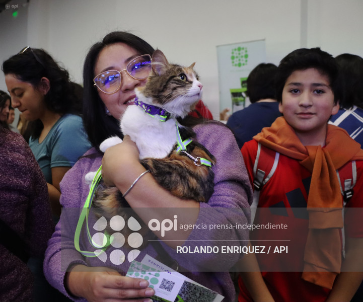 EVENTO MÁS GRANDE DE GATOS  CATURDAY 2025