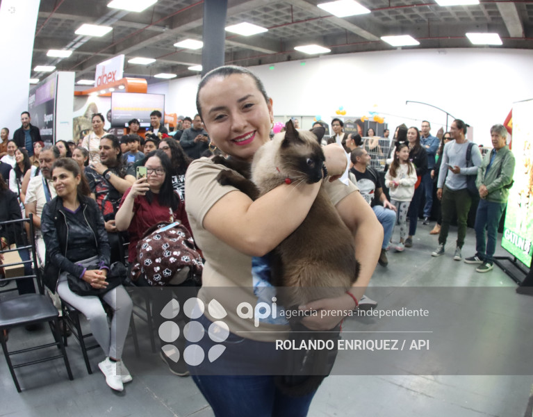 EVENTO MÁS GRANDE DE GATOS  CATURDAY 2025