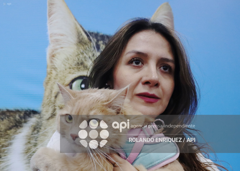 EVENTO MÁS GRANDE DE GATOS  CATURDAY 2025