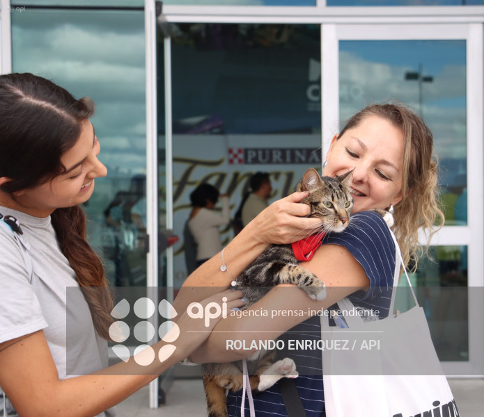 EVENTO MÁS GRANDE DE GATOS  CATURDAY 2025