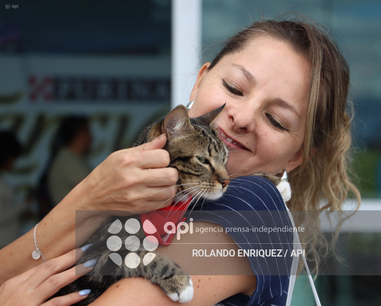 EVENTO MÁS GRANDE DE GATOS  CATURDAY 2025