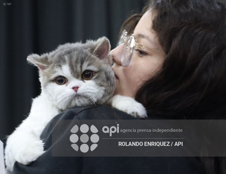 EVENTO MÁS GRANDE DE GATOS  CATURDAY 2025