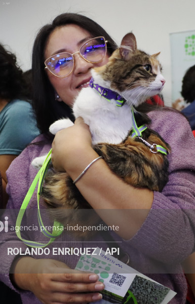 EVENTO MÁS GRANDE DE GATOS  CATURDAY 2025