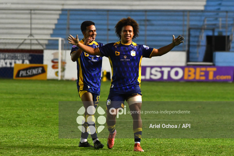 FBL-LIGAPRO-DELFIN-VINO TINTO