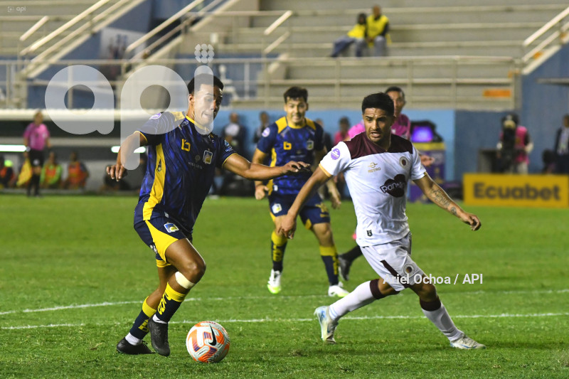 FBL-LIGAPRO-DELFIN-VINO TINTO