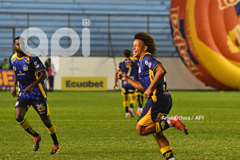 FBL-LIGAPRO-DELFIN-VINO TINTO