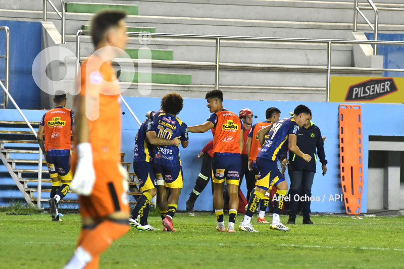 FBL-LIGAPRO-DELFIN-VINO TINTO