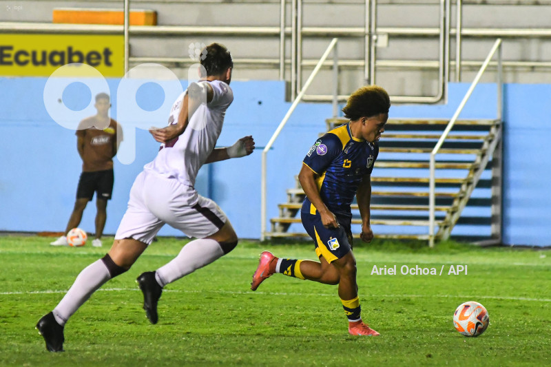 FBL-LIGAPRO-DELFIN-VINO TINTO