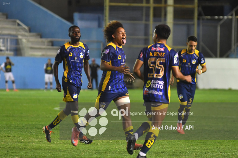 FBL-LIGAPRO-DELFIN-VINO TINTO