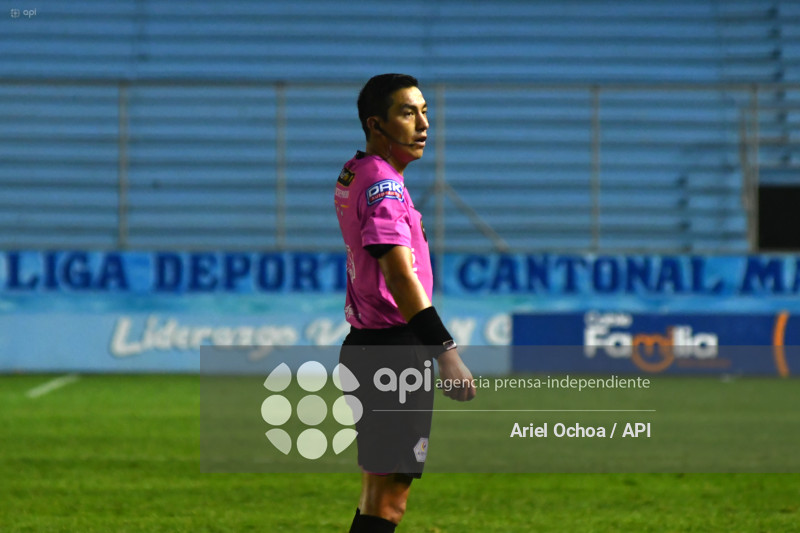 FBL-LIGAPRO-DELFIN-VINO TINTO