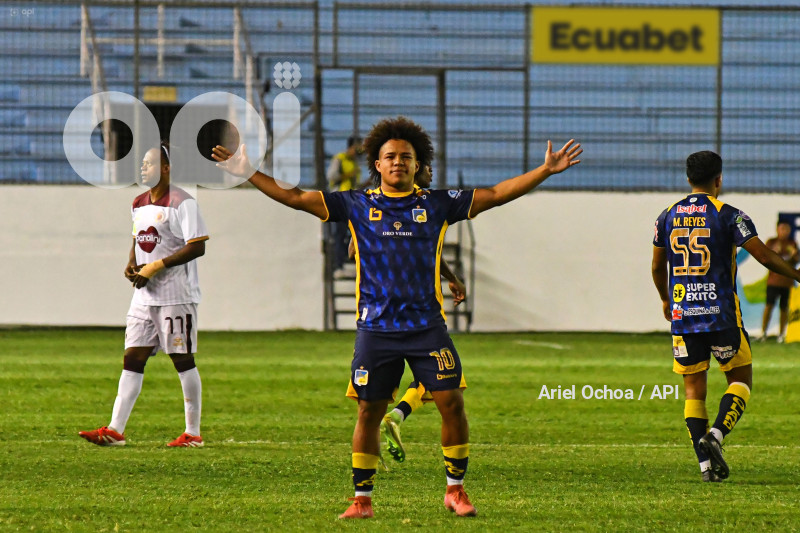 FBL-LIGAPRO-DELFIN-VINO TINTO